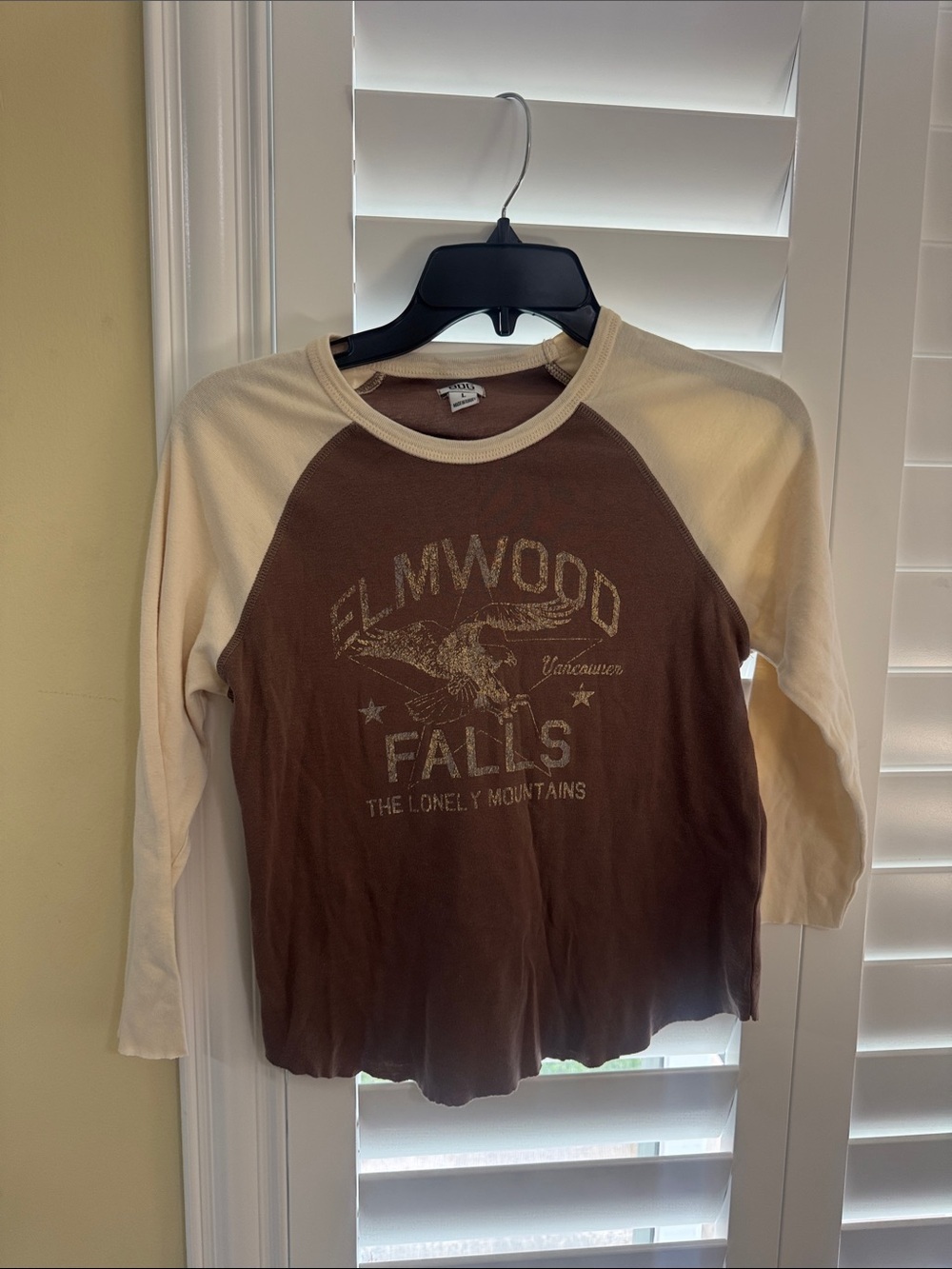 BDG Urban Outfitters Brown Cream Elmwood Falls Raglan Graphic Tee Small